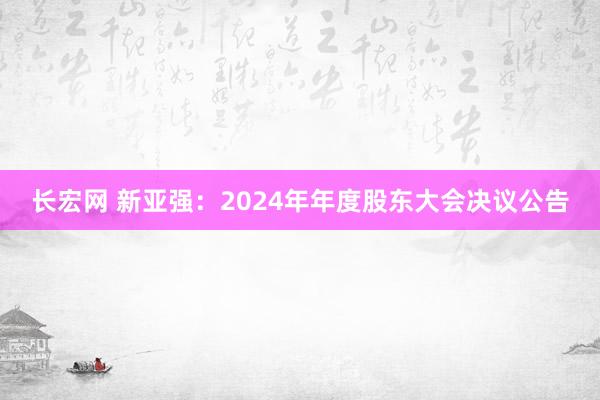 长宏网 新亚强：2024年年度股东大会决议公告