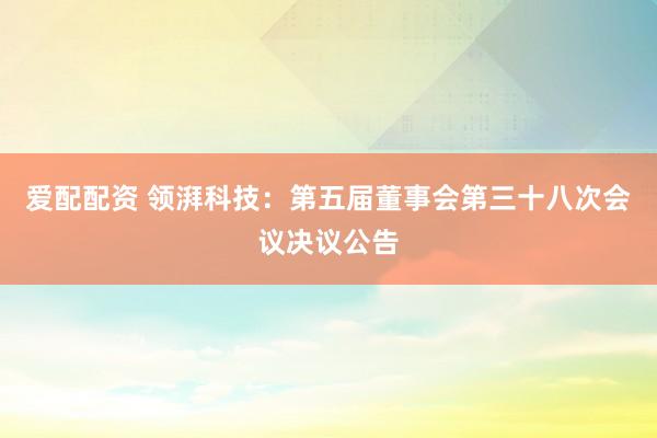 爱配配资 领湃科技：第五届董事会第三十八次会议决议公告