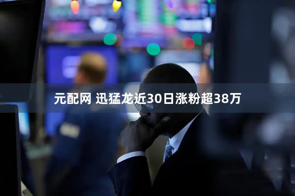 元配网 迅猛龙近30日涨粉超38万