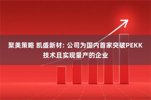 聚美策略 凯盛新材: 公司为国内首家突破PEKK技术且实现量产的企业